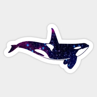 Killer Whale - Stars Sticker